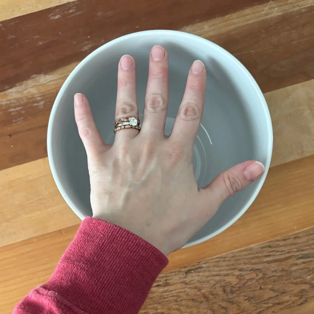 Crate&Barrel Glossy Stoneware White Bowl